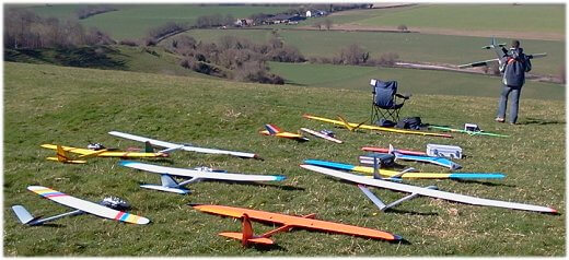 A mix of RC gliders and sailplanes
