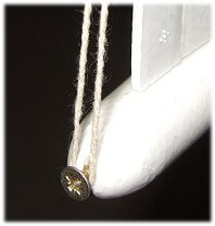 Screw inserted into tail