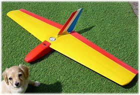 SAS Wildthing rc glider